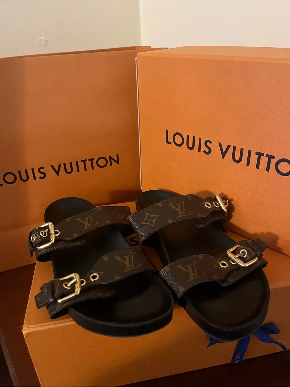 Louis Vuitton Orange and Navy Women Sandals Box and Bags